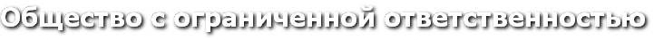 Общество с ограниченной ответственностью