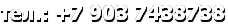 тел.: +7 903 7438738